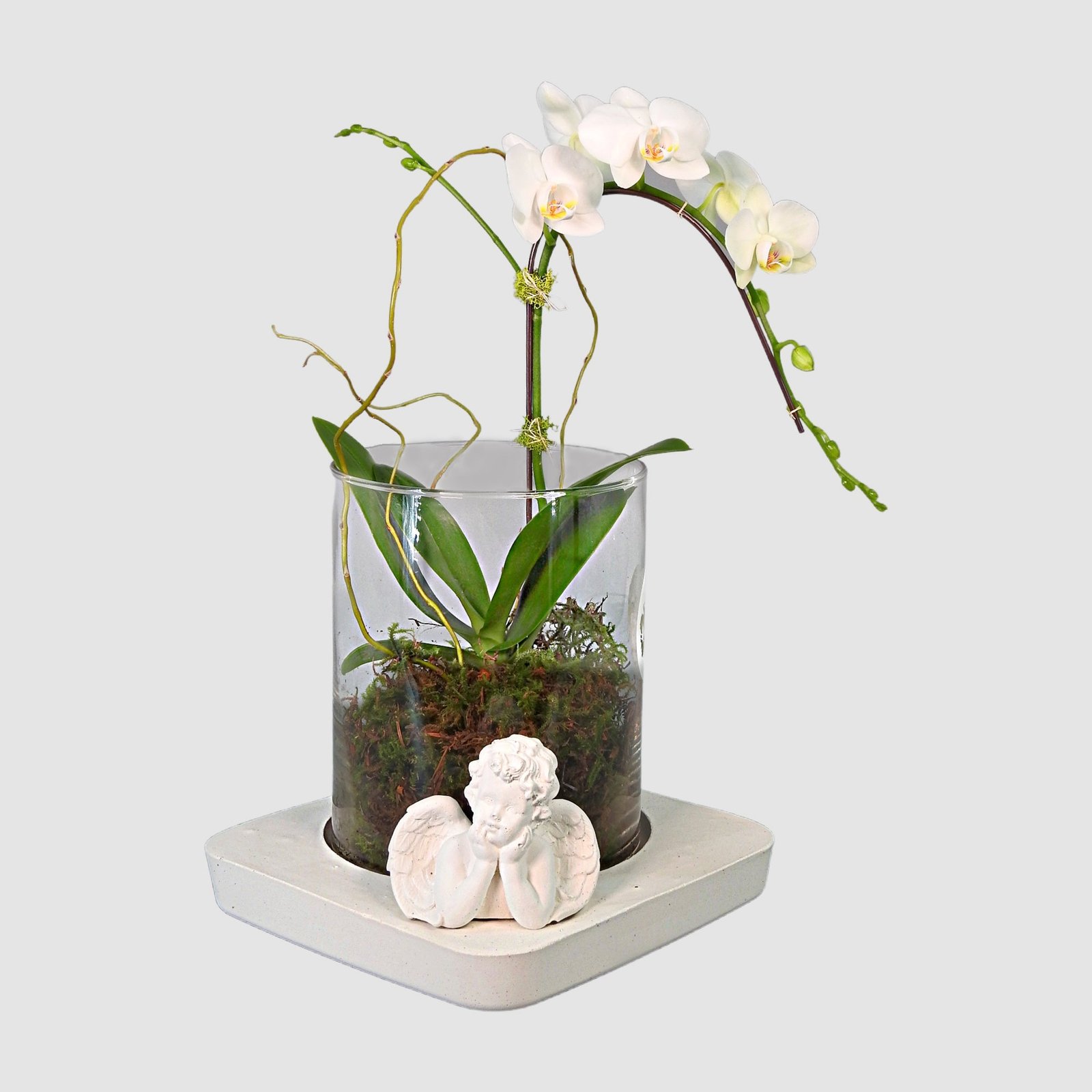 tooka-florist-default-title-dreaming-with-angle-36429653180660.jpg Dreaming with angle - Image 1