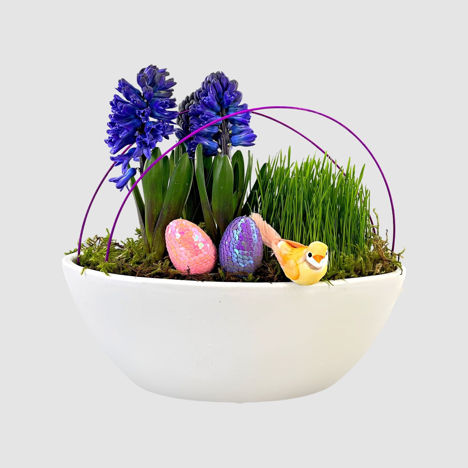 tooka-florist-default-title-hyacinth-boat-36429645512948.jpg Hyacinth Boat - Image 1