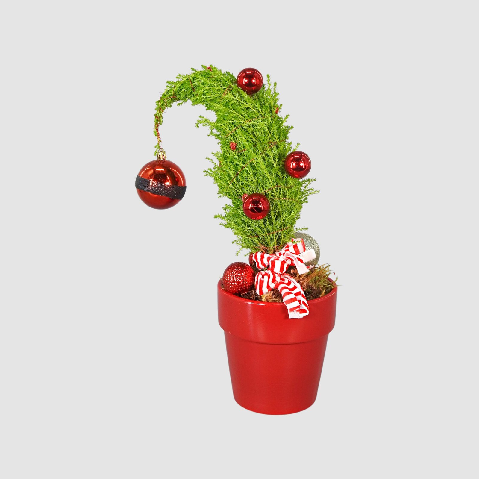 tooka-florist-default-title-mini-grinch-tree-36429656588532.jpg Mini Grinch tree - Image 1