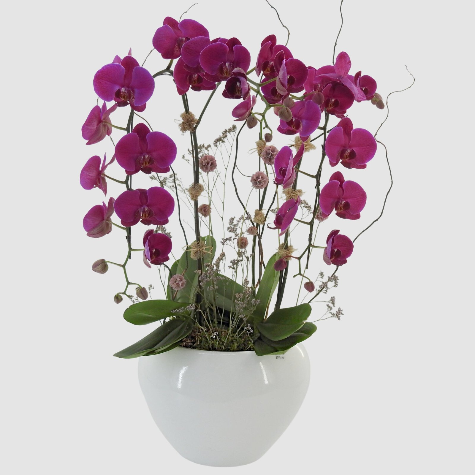 tooka-florist-default-title-pink-perfection-orchid-garden-36429679165684.jpg Pink Perfection Orchid Garden - Image 1
