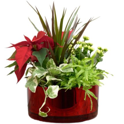 Believe in the Magic