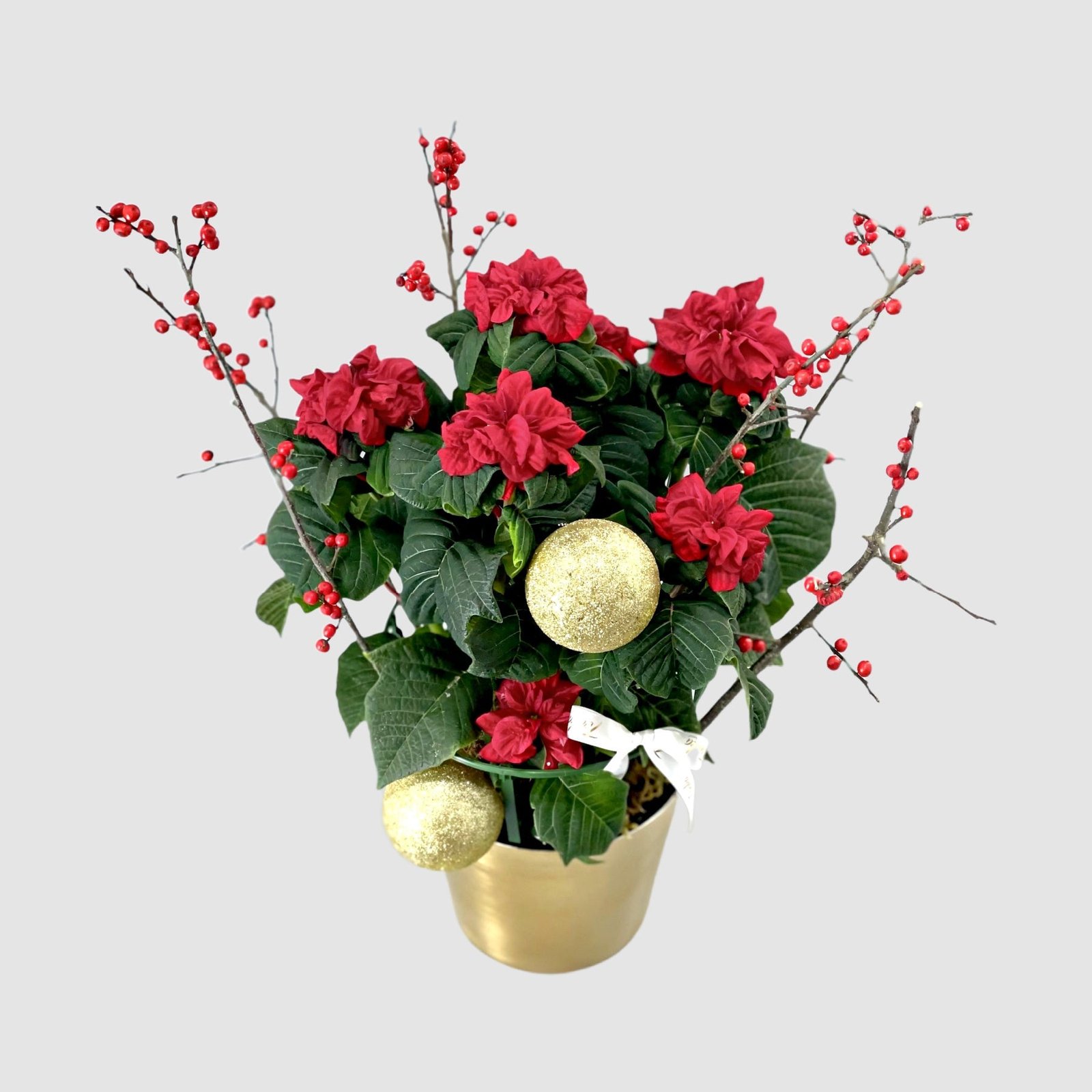 tookaflorist-simple-medium-winter-rose-poinsettia-36429735657716.jpg Winter Rose Poinsettia - Image 1