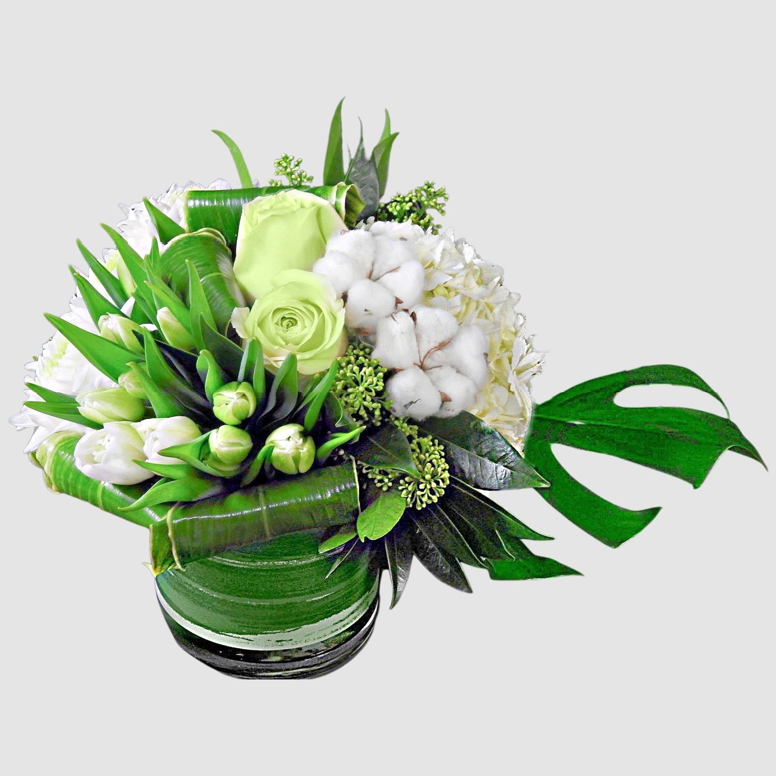 white-cotton-tooka-florist-north-west-greater-vancouver-5170165.jpg White Cotton - Image 1