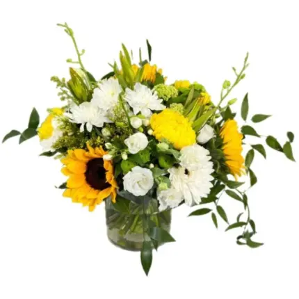 Sunny Day - Bright sunflower and white chrysanthemum arrangement in glass vase Vancouver