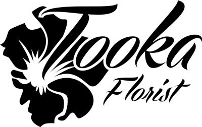 Tooka logo