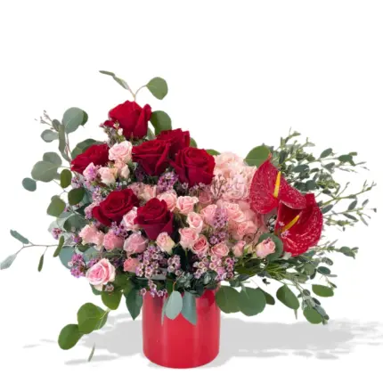 Amour Red Roses - Red roses, pink spray roses and anthurium in red cylindrical vase Vancouver