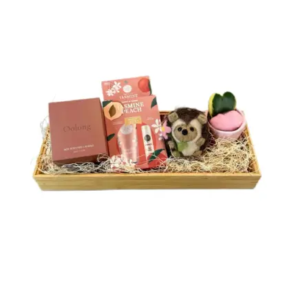 Little Spa Day gift basket - Self care spa gift set succulents Vancouver
