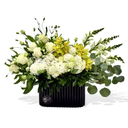 White Bloom Box - White hydrangeas roses and green orchids in black ribbed box Vancouver