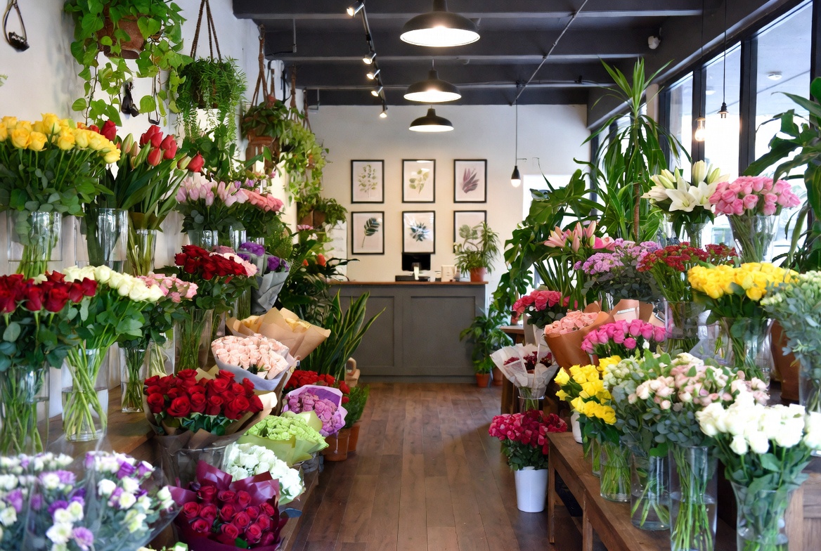 Stunning interior of Tooka Florist boutique with colorful rose bouquets and hanging green plants