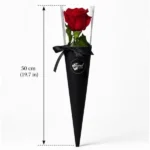 Single rose in black box - Luxury long stem red rose valentine gift Vancouver