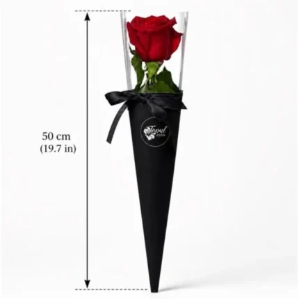 Single rose in black box - Luxury long stem red rose valentine gift Vancouver